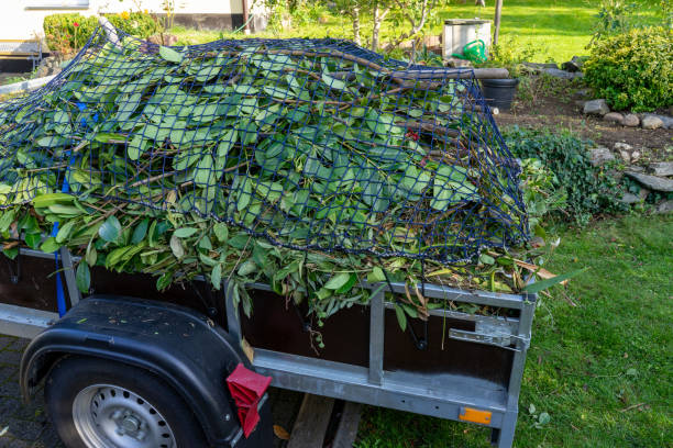 Best Mattress Disposal  in Avilla, IN